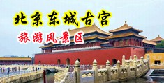 插菊花综合网567c0m中国北京-东城古宫旅游风景区